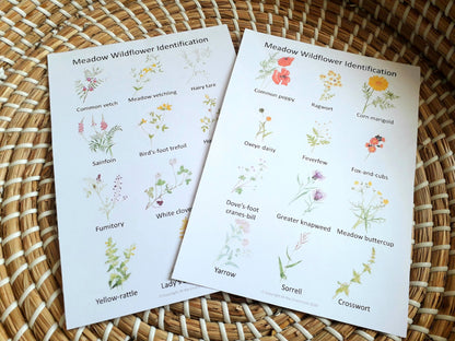 Meadow Wildflower Flashcards - PDF - At the Cherry Tree