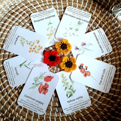 Meadow Wildflower Flashcards - PDF - At the Cherry Tree