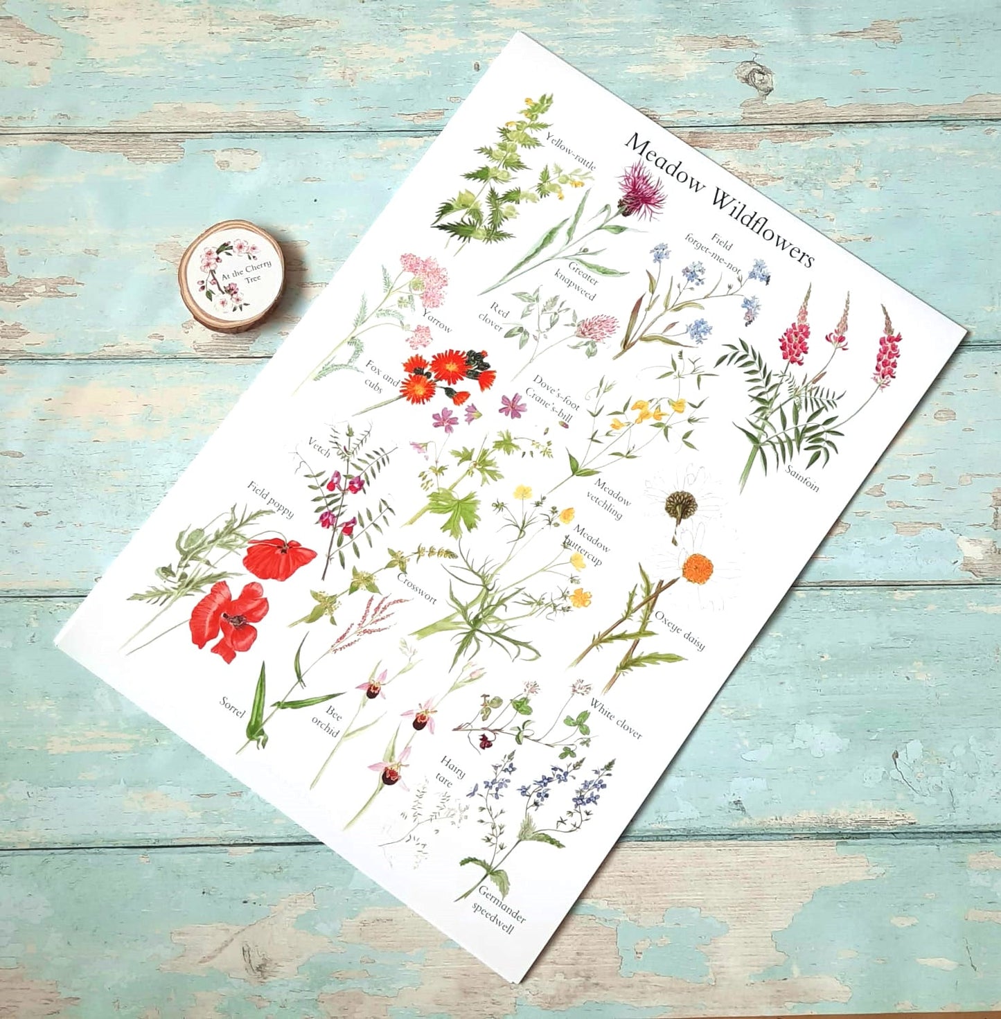 Meadow Wildflowers - Poster Print - At the Cherry Tree