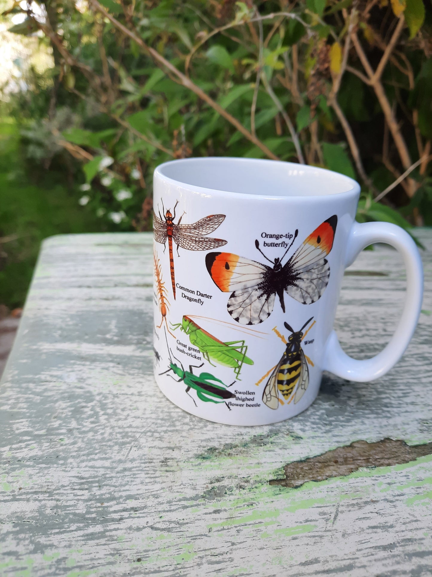 Minibeasts Mug - At the Cherry Tree