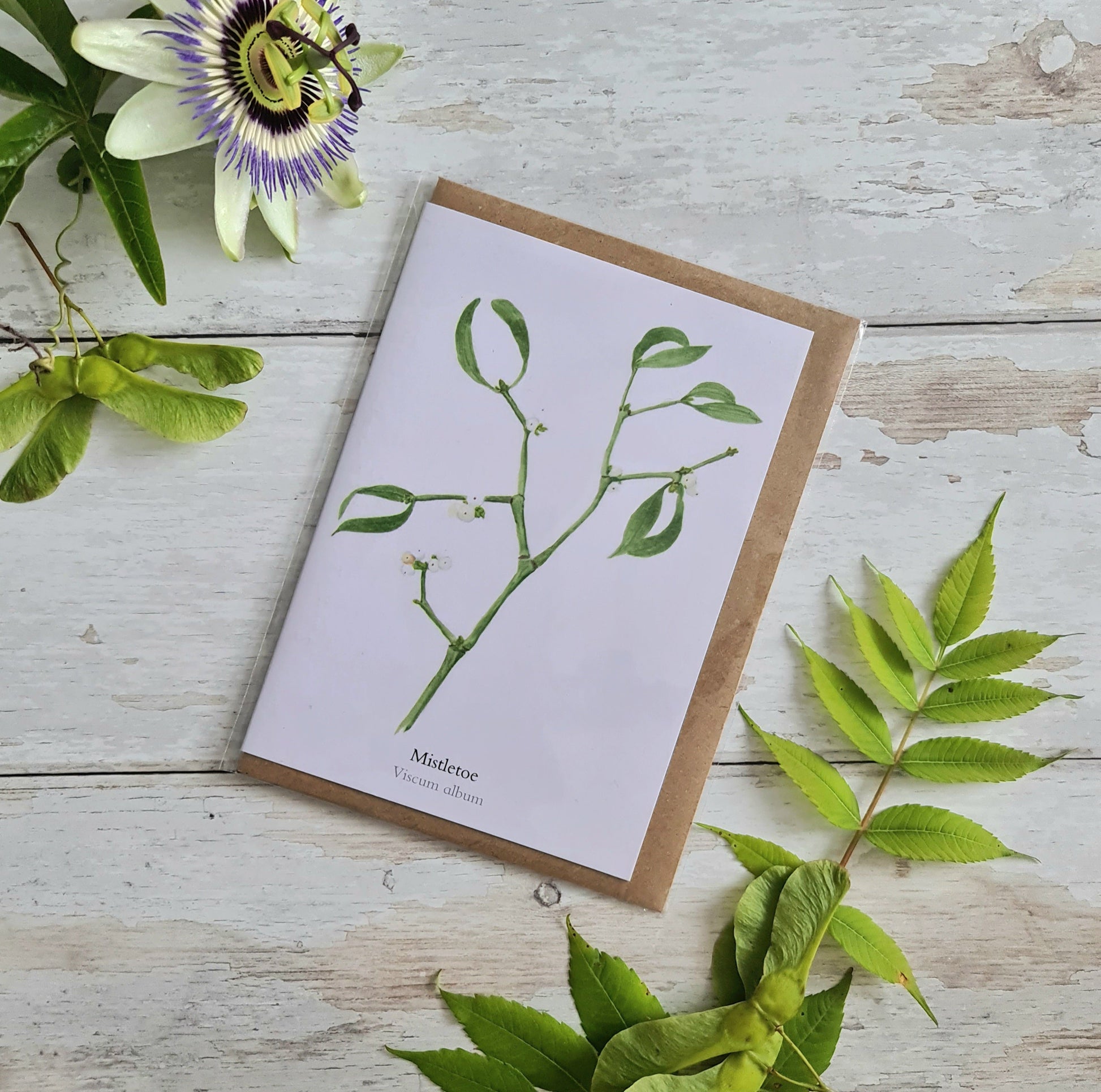 Mistletoe - Greetings Card - At the Cherry Tree