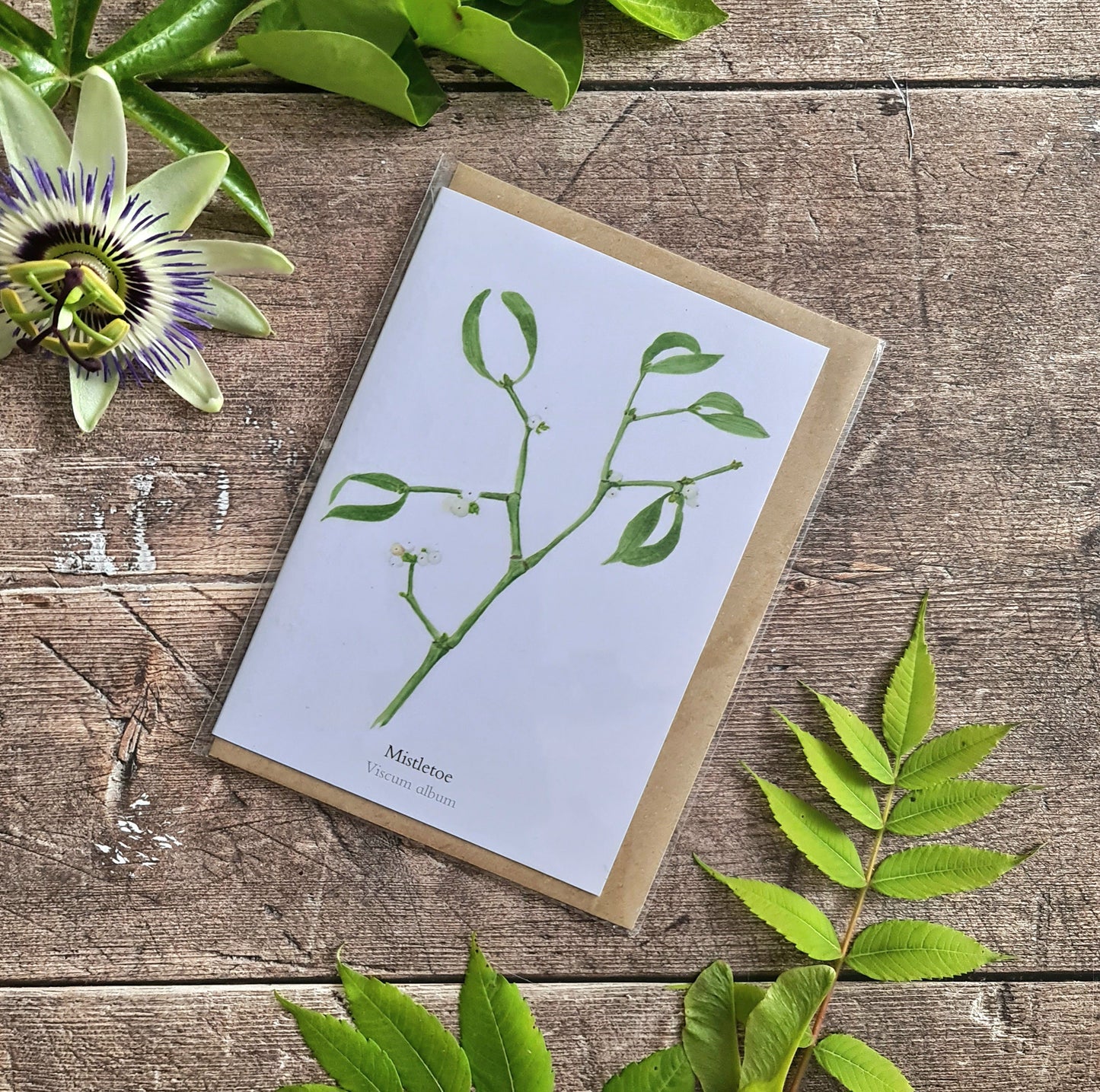 Mistletoe - Greetings Card - At the Cherry Tree