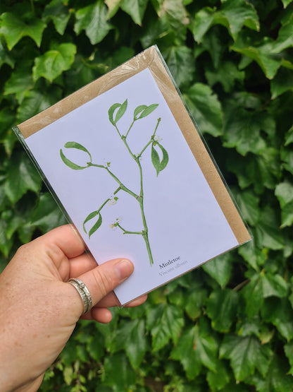 Mistletoe - Greetings Card - At the Cherry Tree