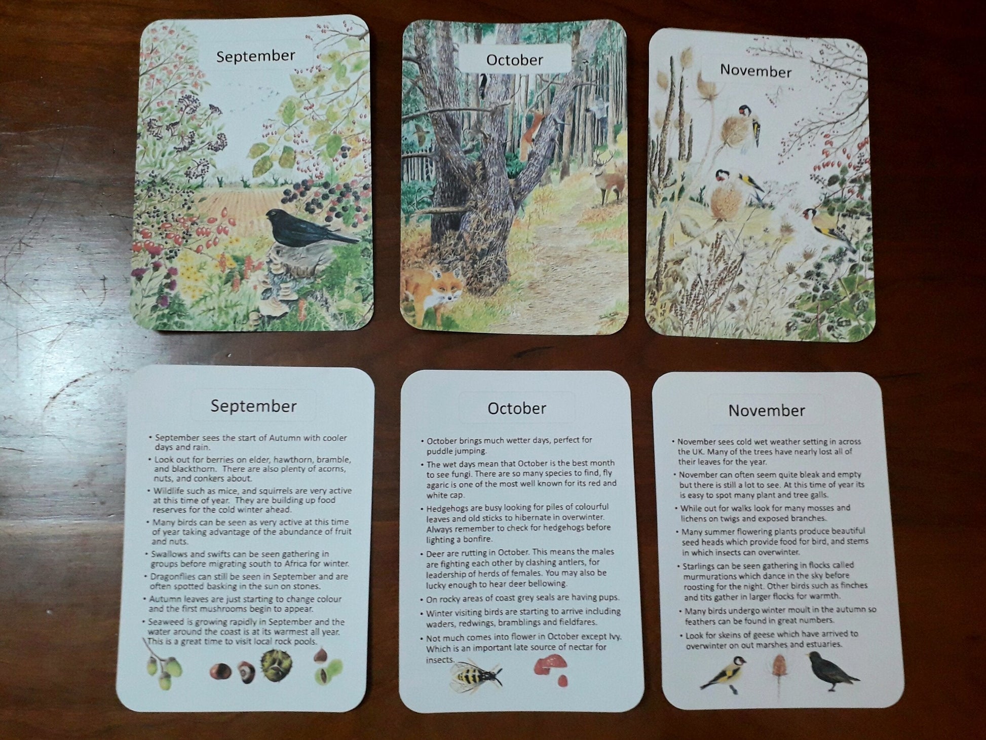 Monthly cards - PDF - At the Cherry Tree