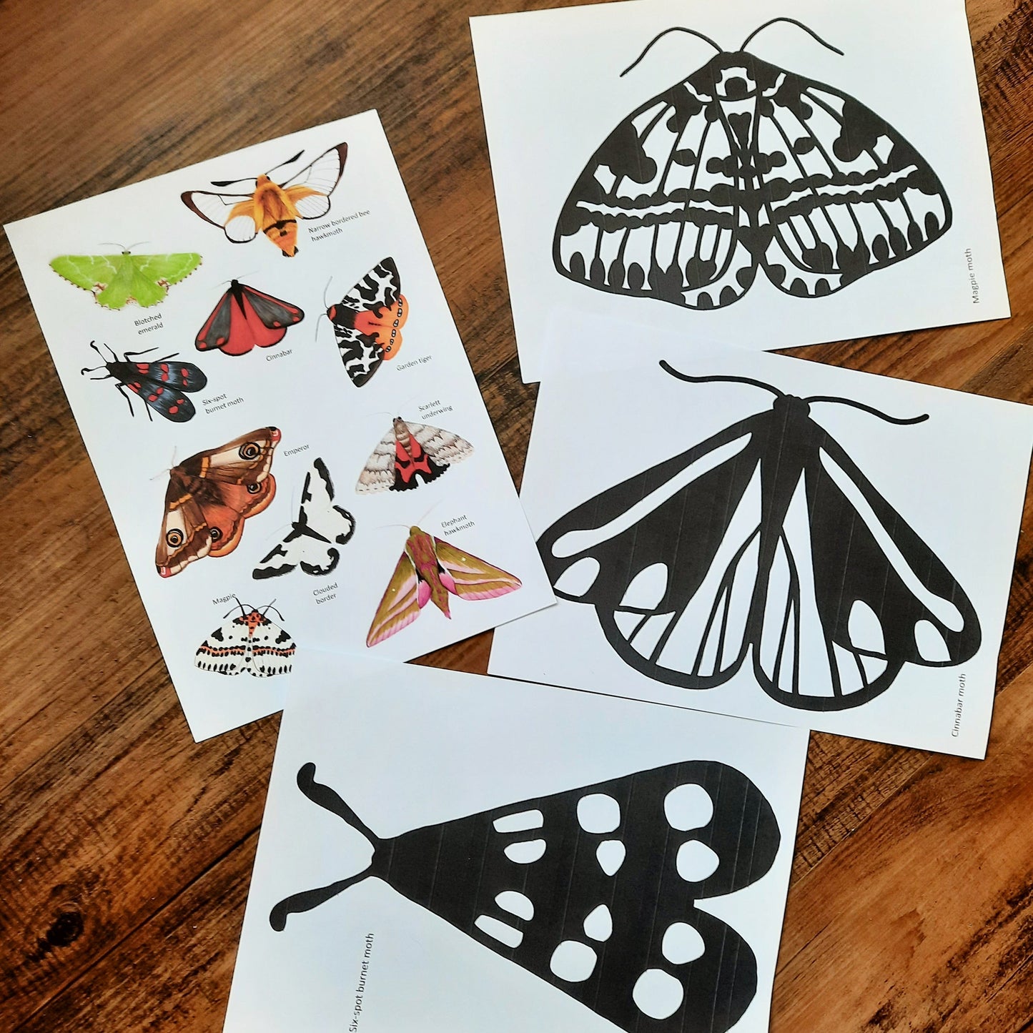 Moth Suncatchers - At the Cherry Tree