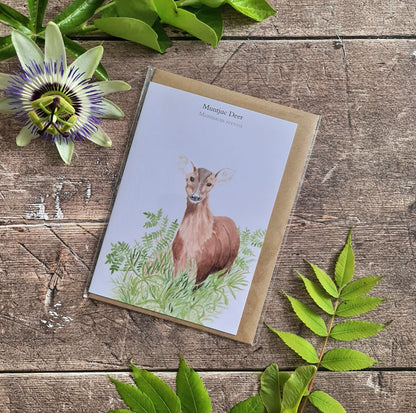 Muntjac Deer - Greetings Card - At the Cherry Tree