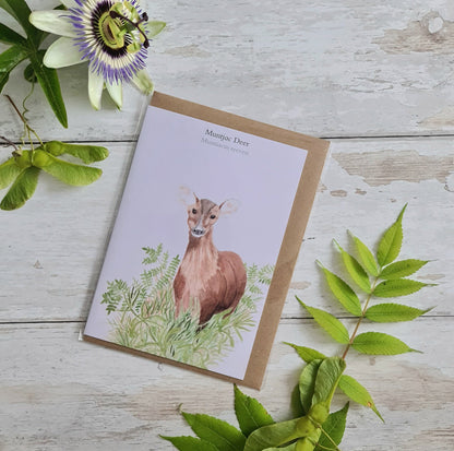 Muntjac Deer - Greetings Card - At the Cherry Tree