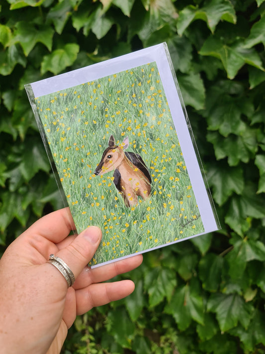 Muntjac Deer in Buttercups - Greetings Card - At the Cherry Tree