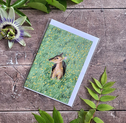 Muntjac Deer in Buttercups - Greetings Card - At the Cherry Tree