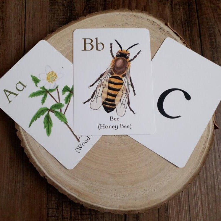 Nature Alphabet Flashcards - Printed - At the Cherry Tree