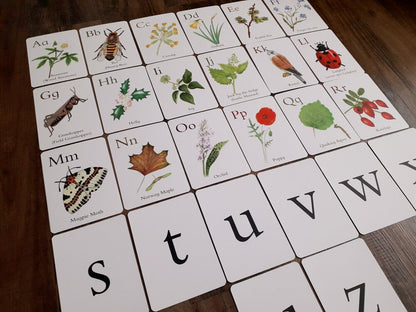 Nature Alphabet Flashcards - Printed - At the Cherry Tree