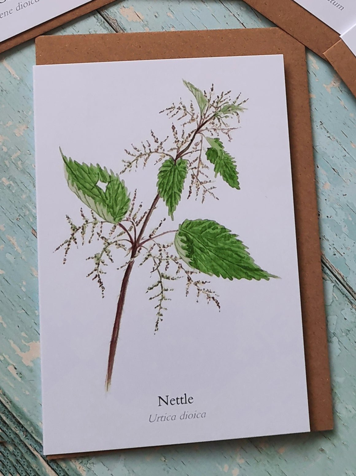 Nettle - Greetings Card - At the Cherry Tree