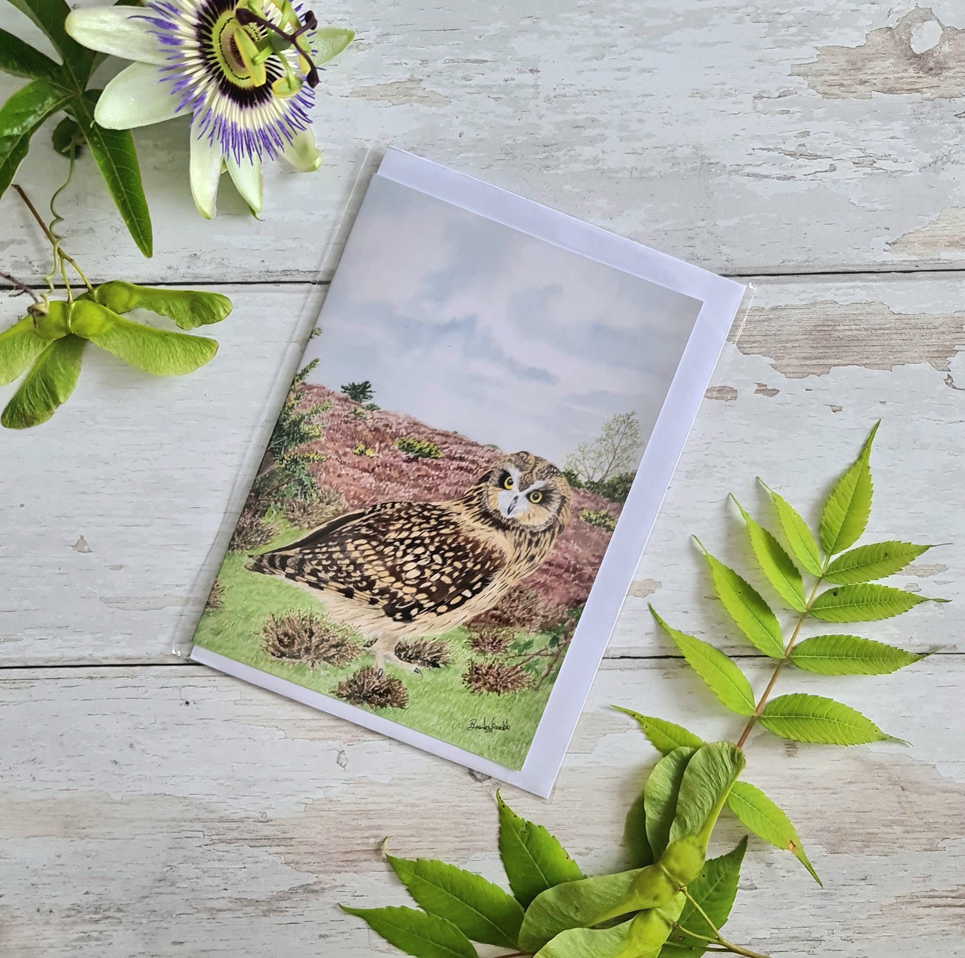 Overwintering - Greetings Card - At the Cherry Tree