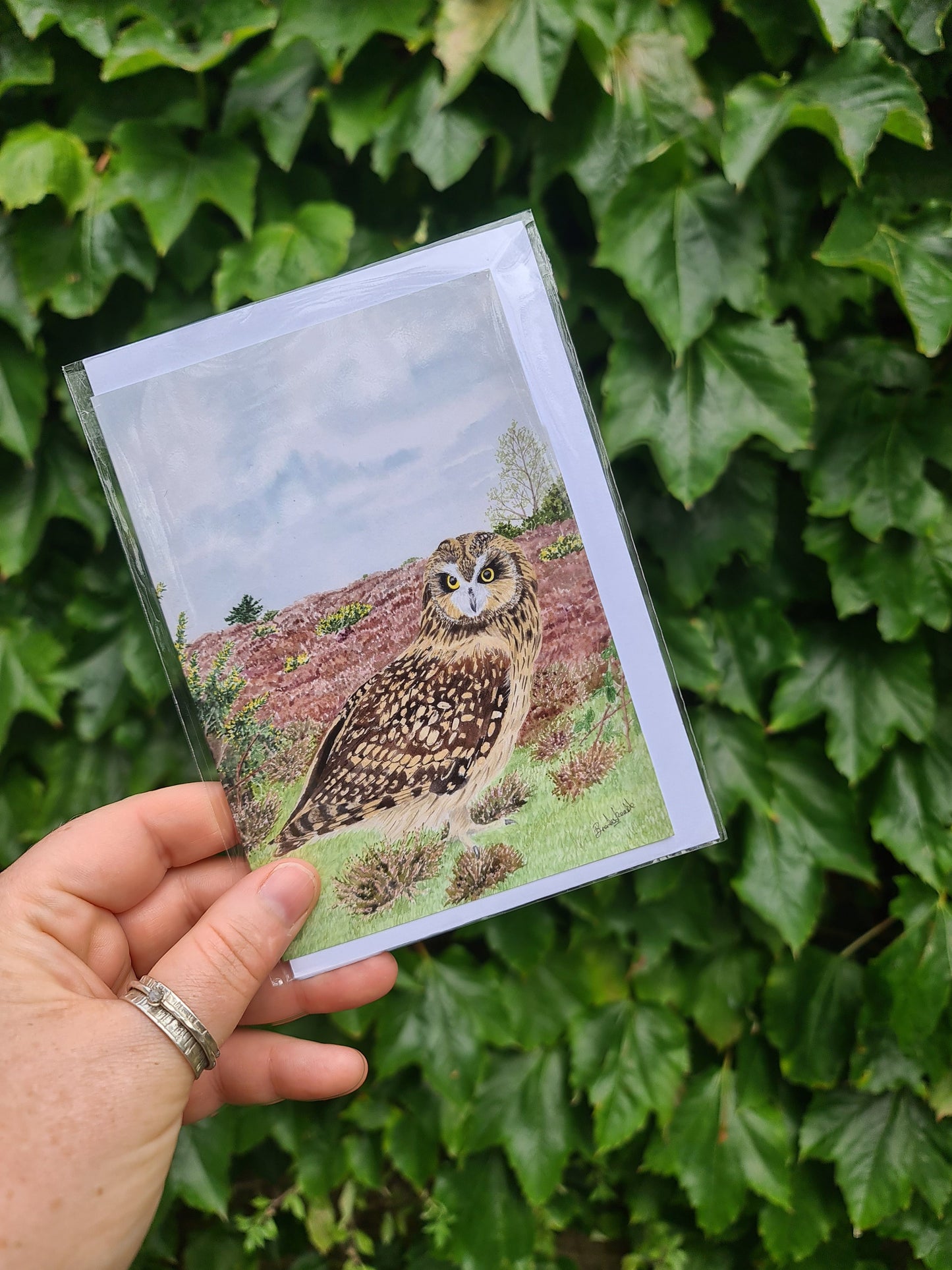 Overwintering - Greetings Card - At the Cherry Tree