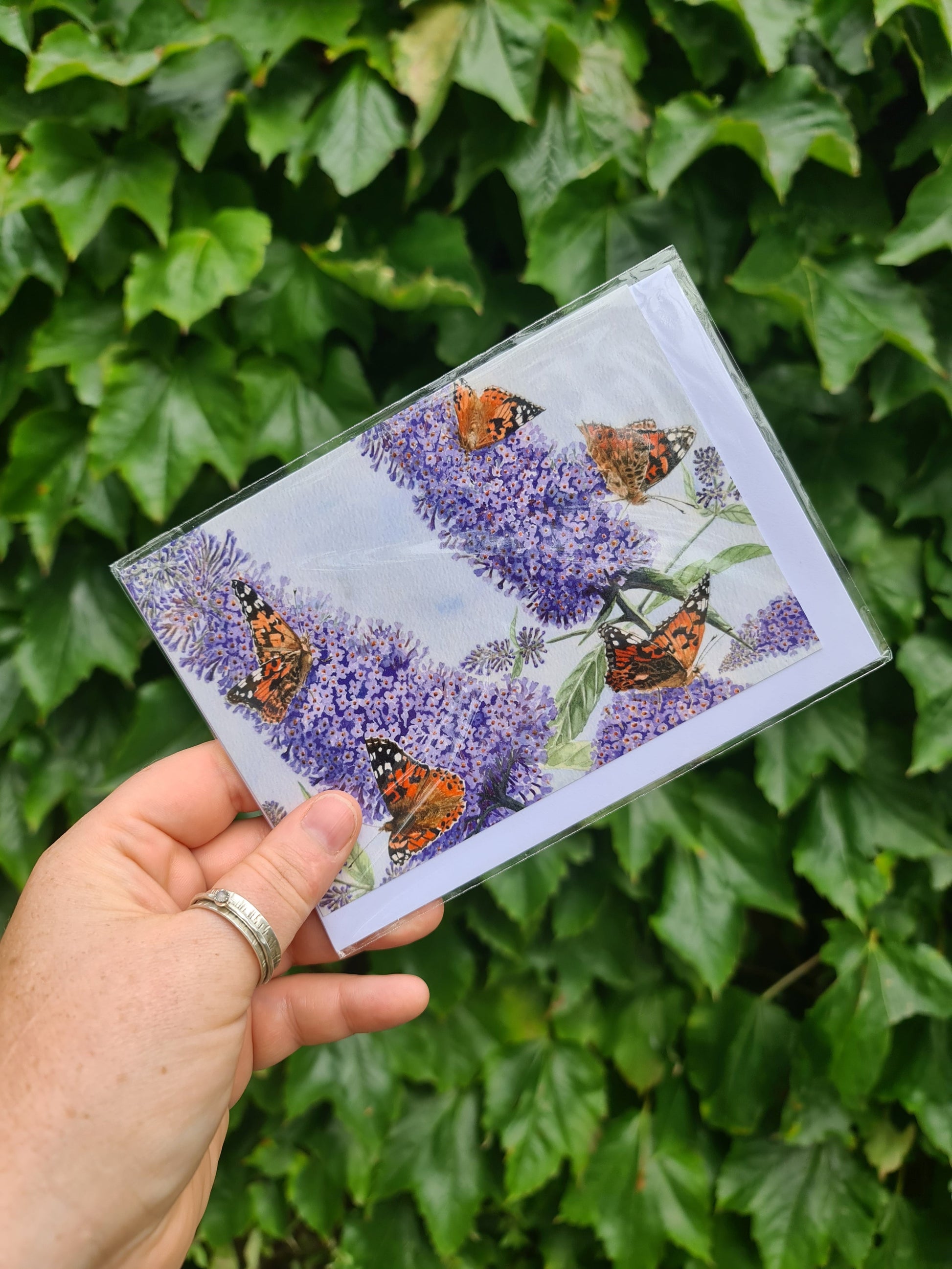 Painted Lady Butterfly - Greetings Card - At the Cherry Tree