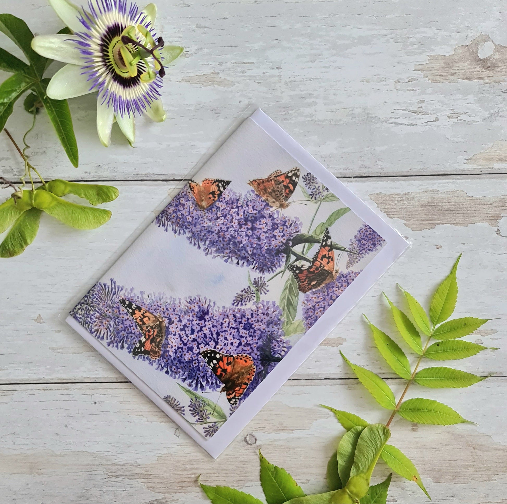 Painted Lady Butterfly - Greetings Card - At the Cherry Tree