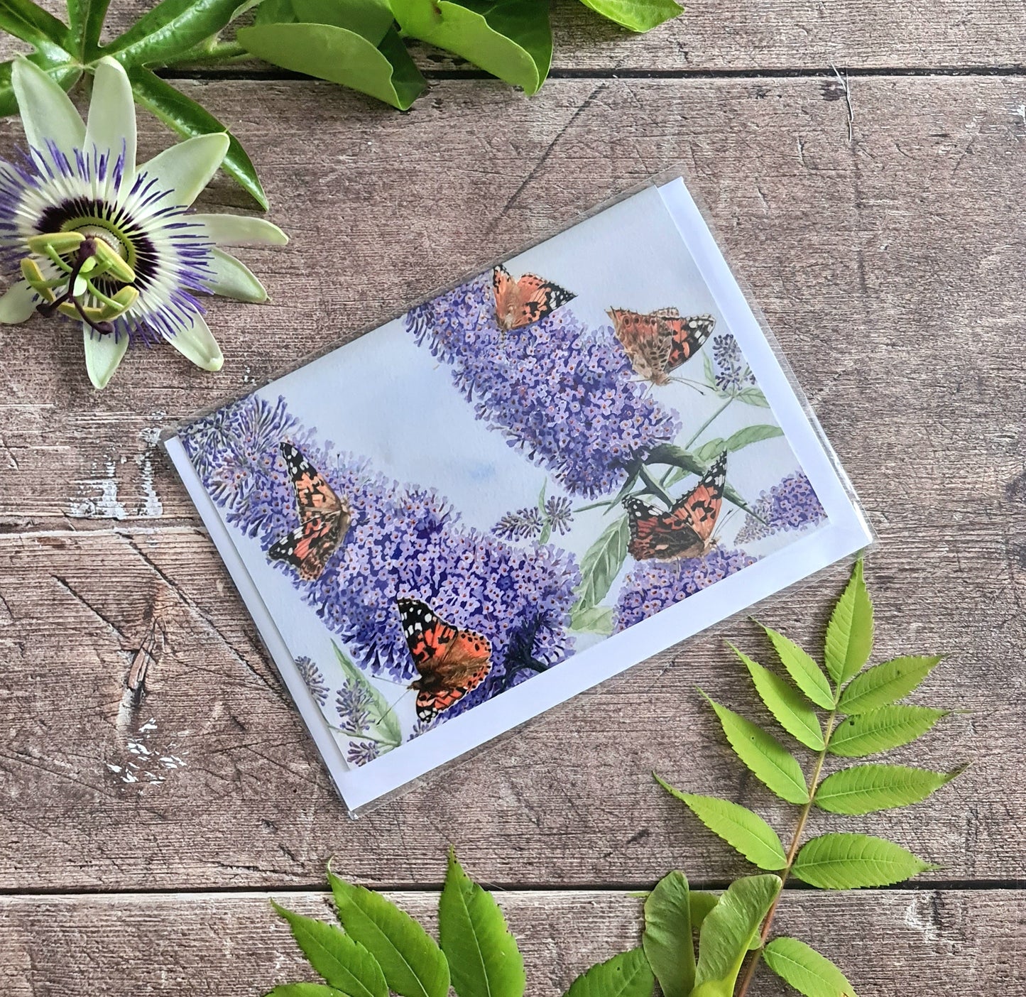 Painted Lady Butterfly - Greetings Card - At the Cherry Tree