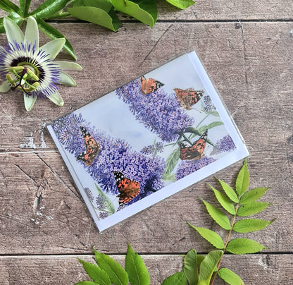 Painted Lady Butterfly - Greetings Card - At the Cherry Tree