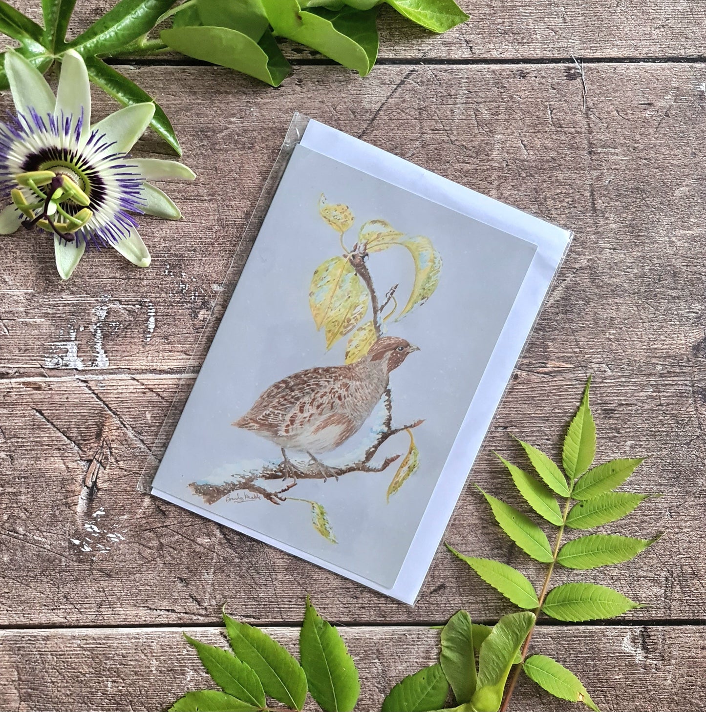 Partridge in a Pear Tree - Greetings Card - At the Cherry Tree