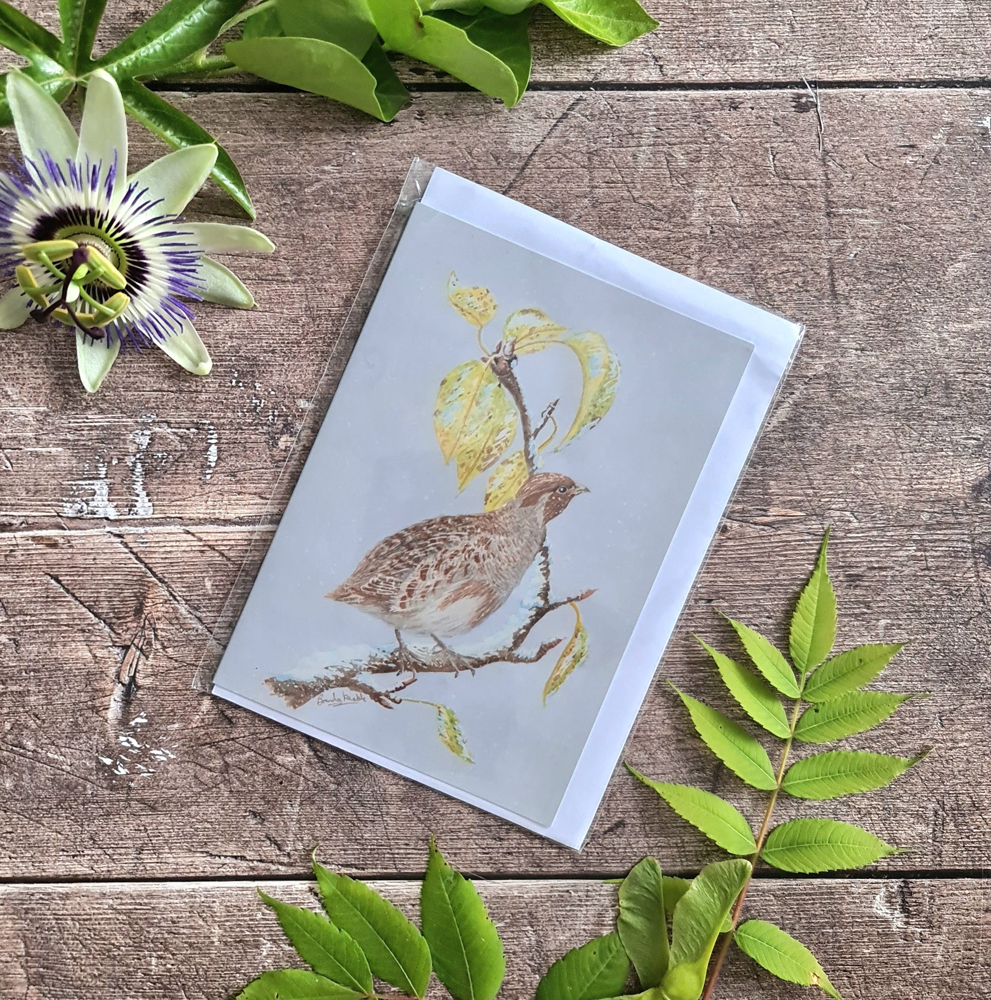 Partridge in a Pear Tree - Greetings Card - At the Cherry Tree
