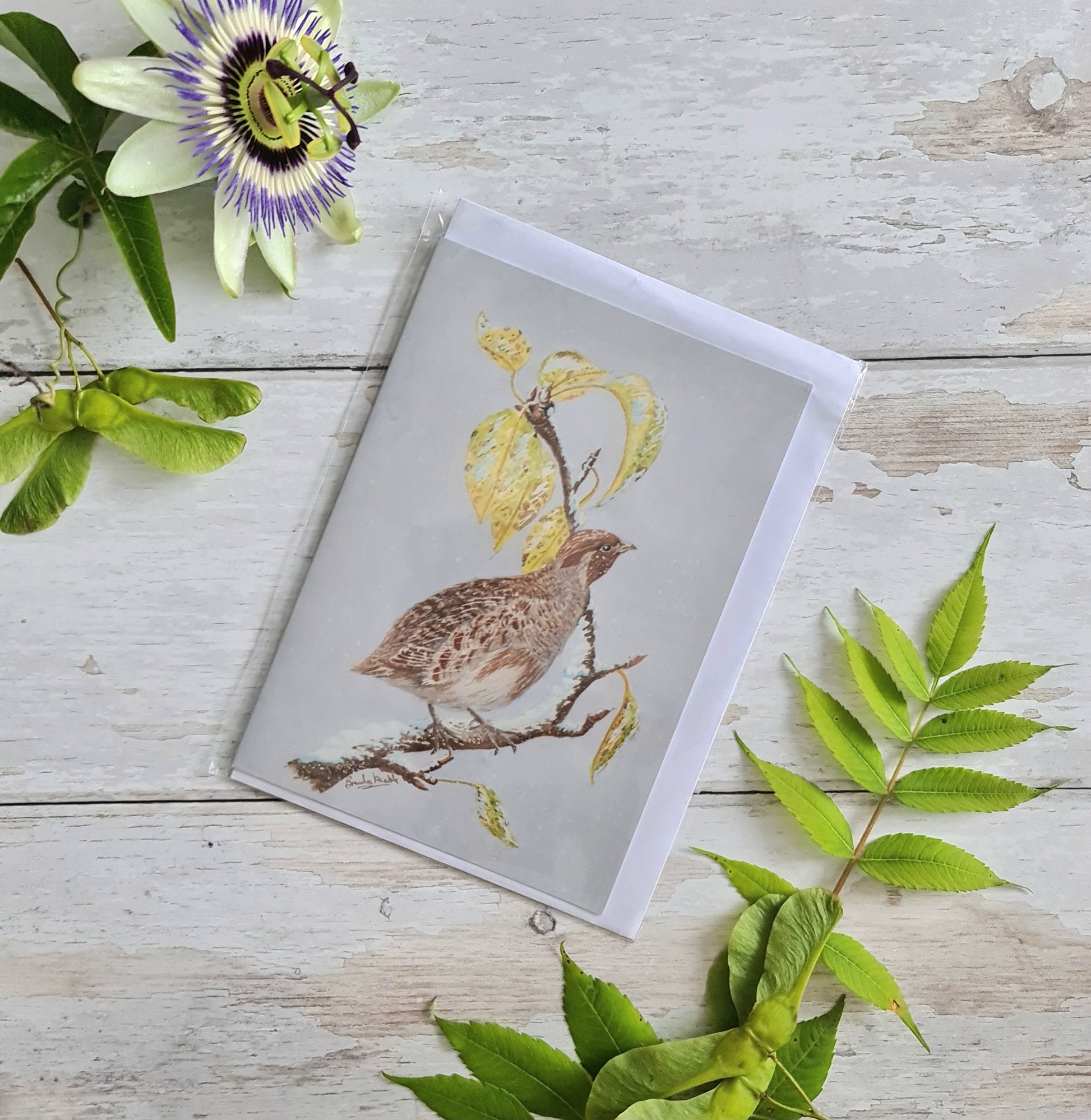 Partridge in a Pear Tree - Greetings Card - At the Cherry Tree