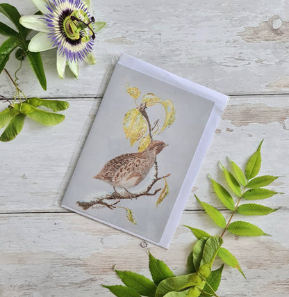 Partridge in a Pear Tree - Greetings Card - At the Cherry Tree