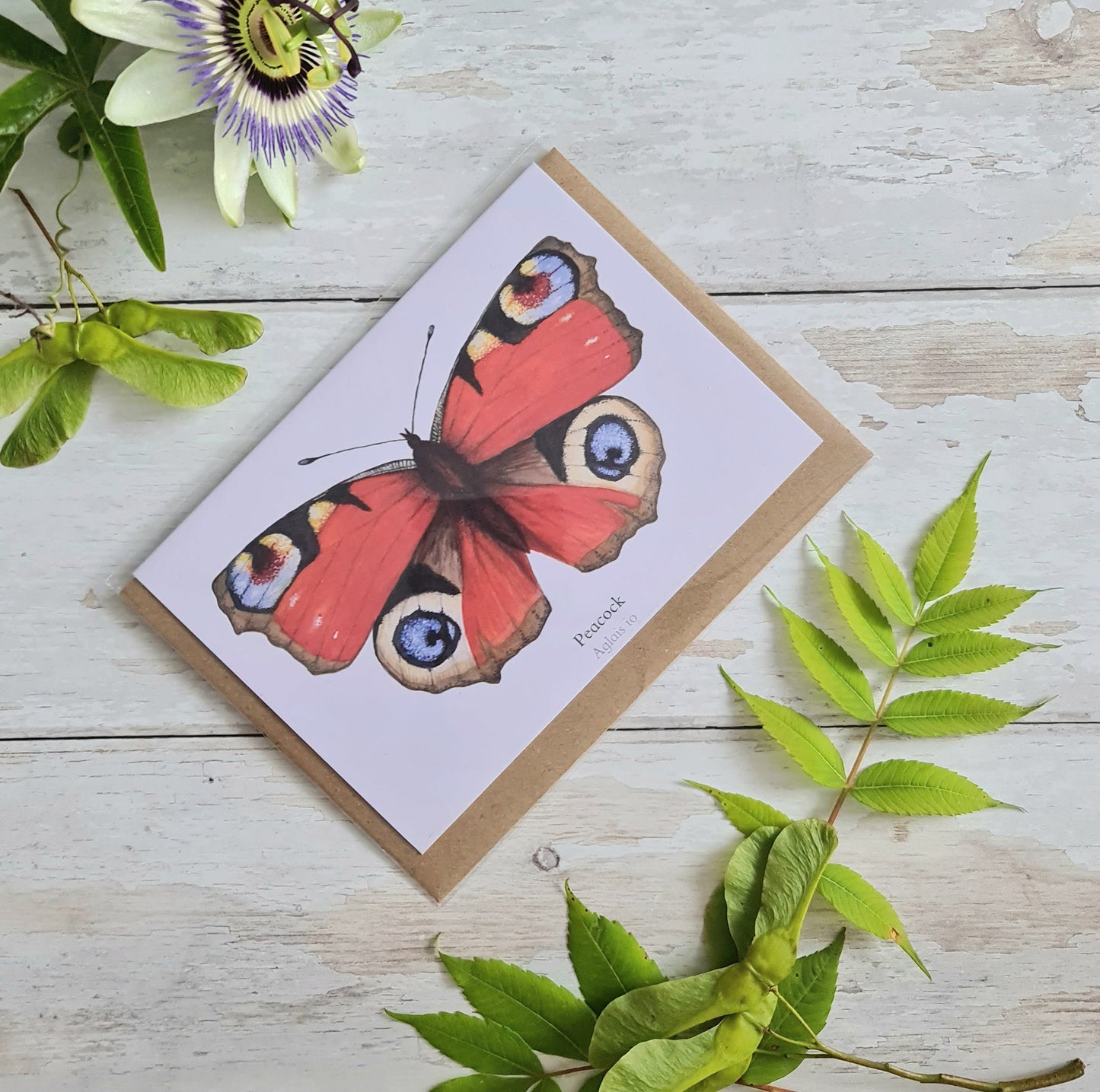 Peacock Butterfly - Greetings Card - At the Cherry Tree