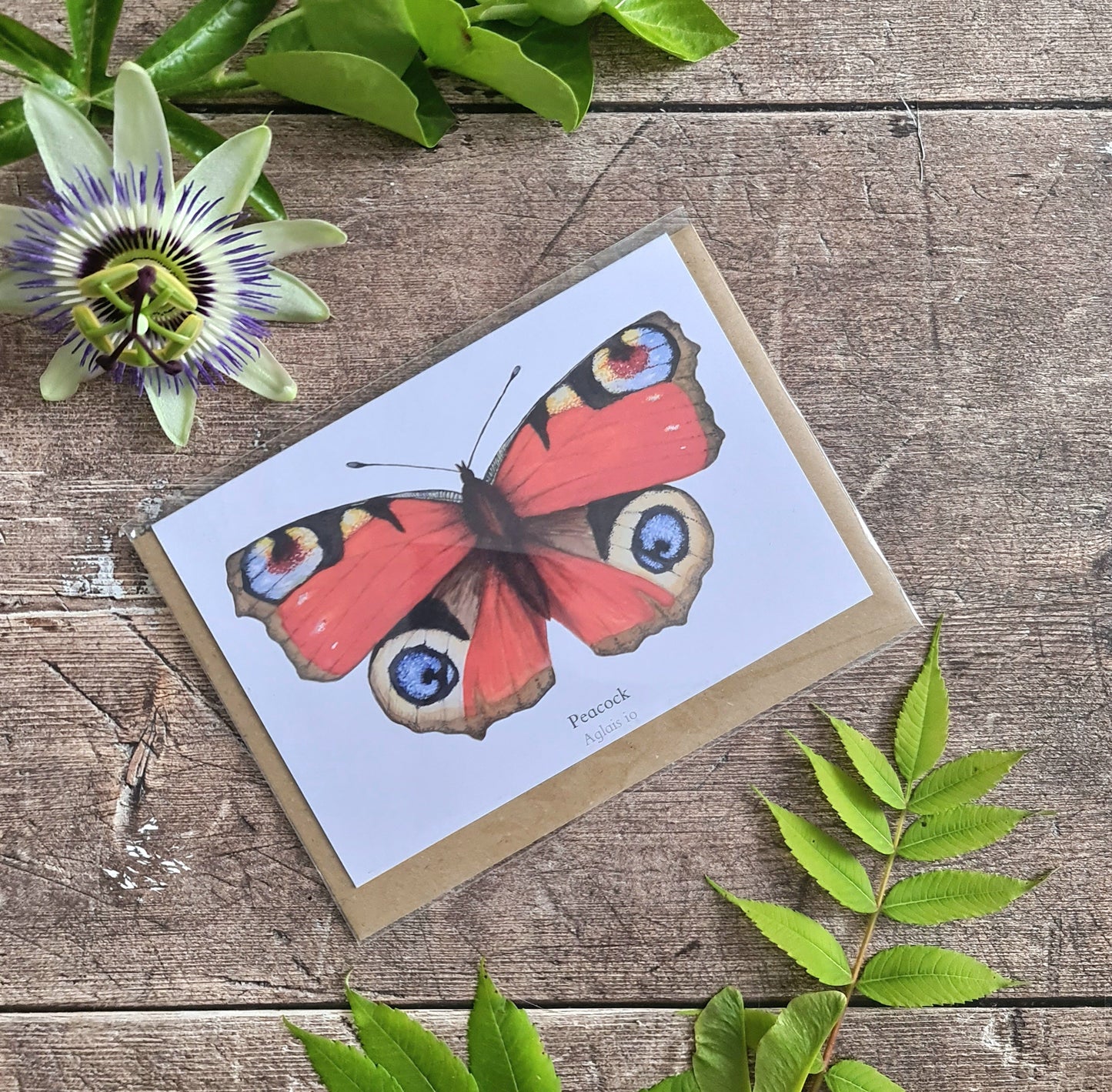 Peacock Butterfly - Greetings Card - At the Cherry Tree