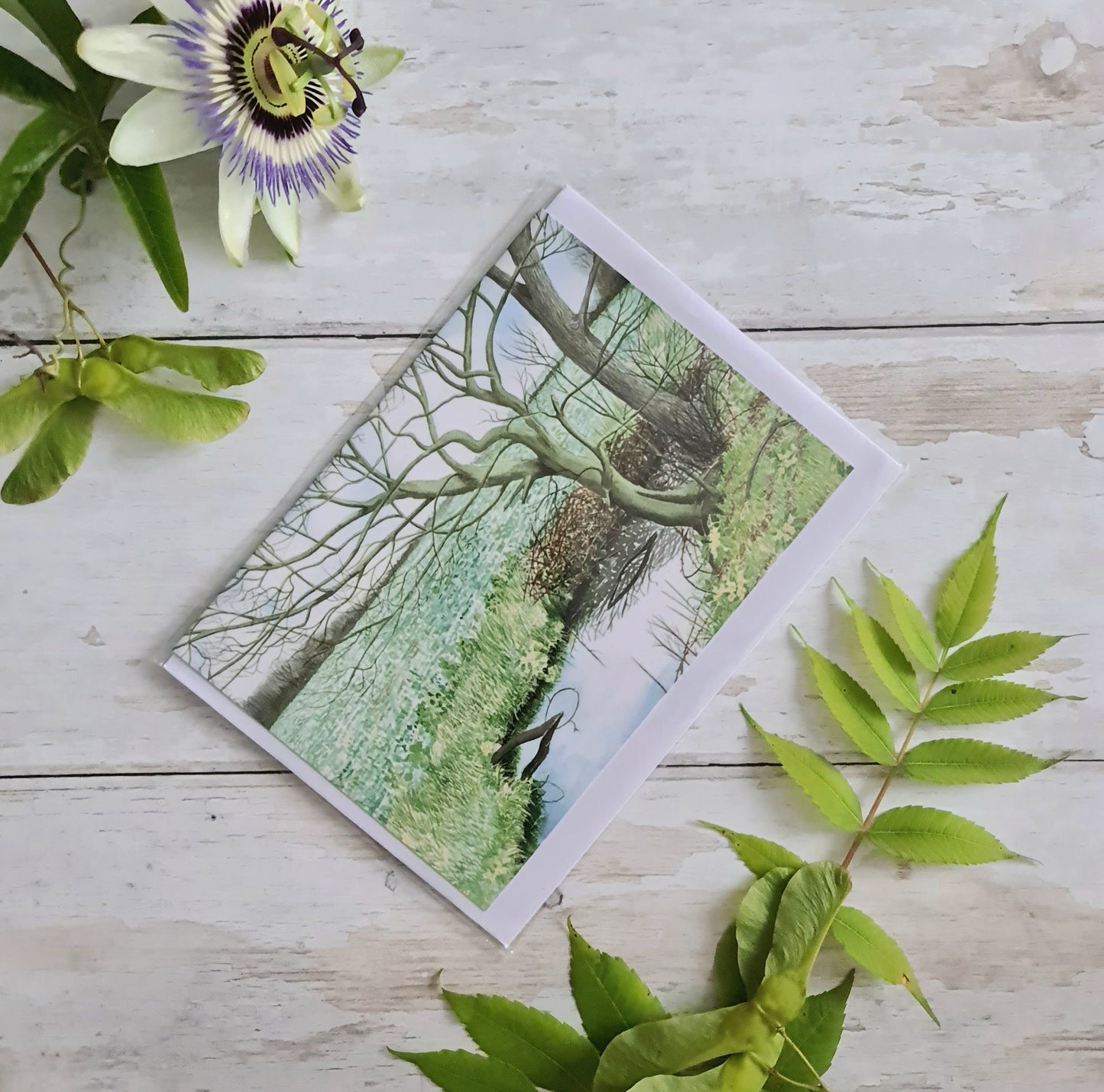 Primroses - Greetings Card - At the Cherry Tree