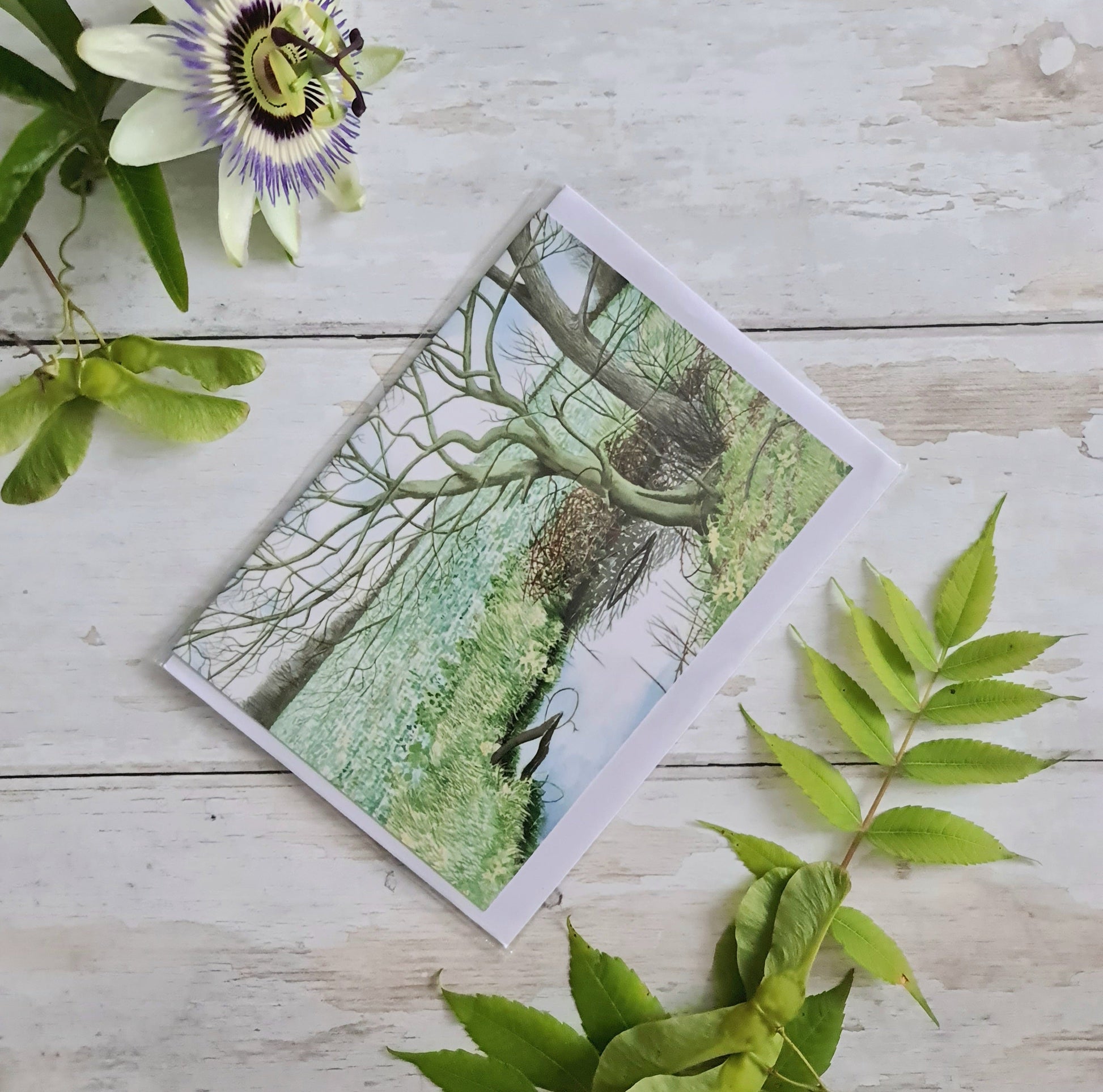 Primroses - Greetings Card - At the Cherry Tree