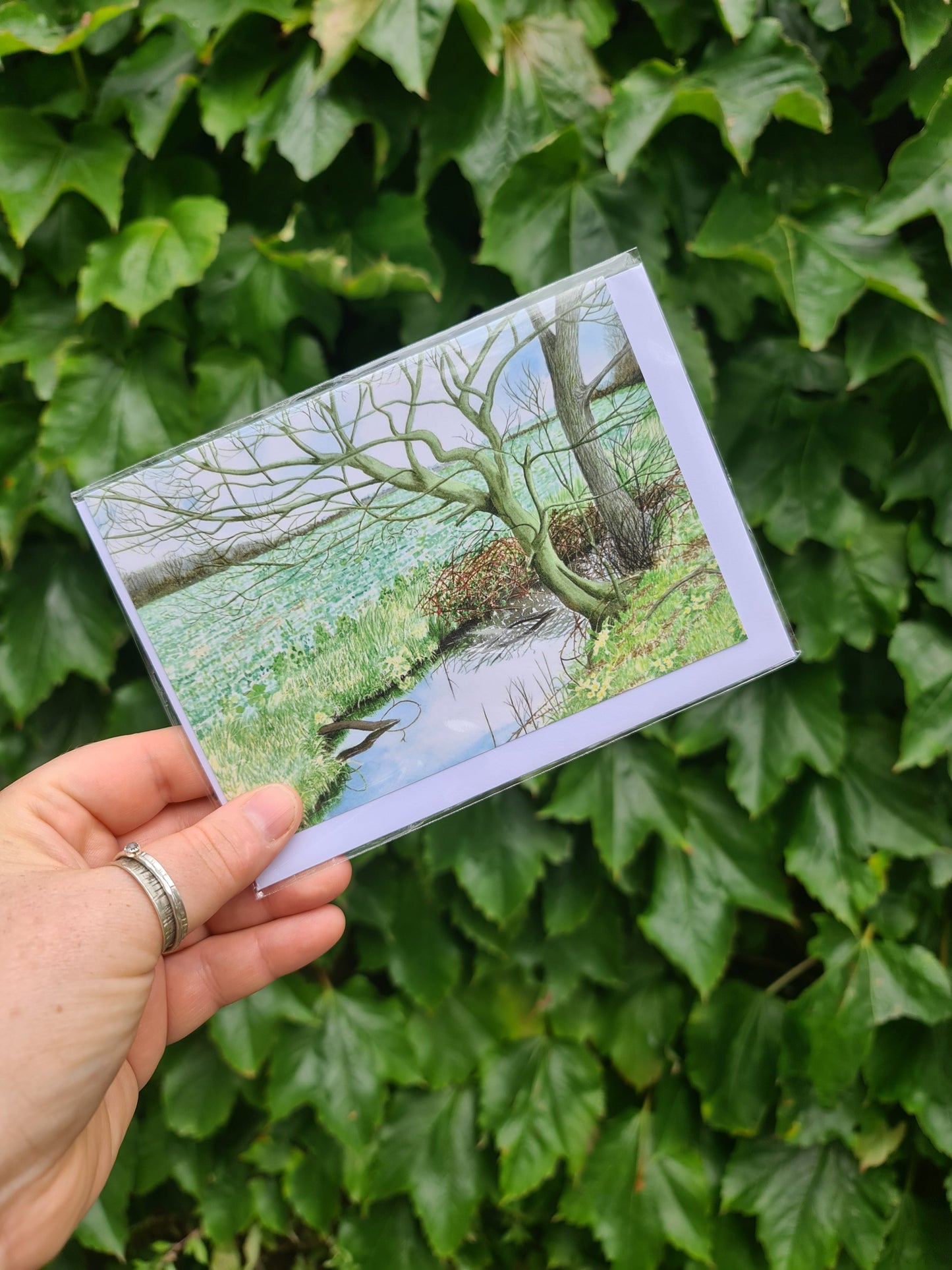 Primroses - Greetings Card - At the Cherry Tree