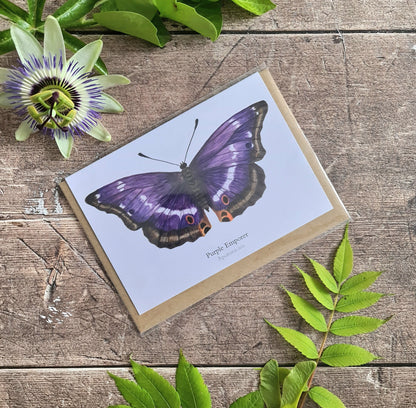 Purple Emperor Butterfly - Greetings Card - At the Cherry Tree