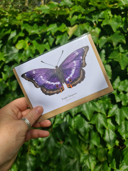 Purple Emperor Butterfly - Greetings Card - At the Cherry Tree