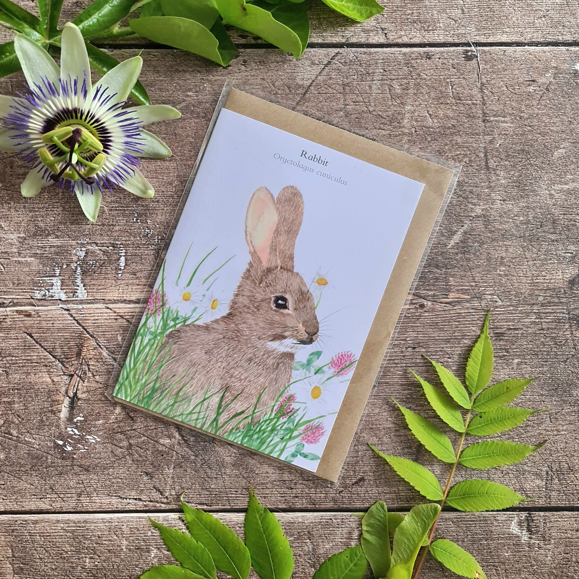 Rabbit - Greetings Card - At the Cherry Tree