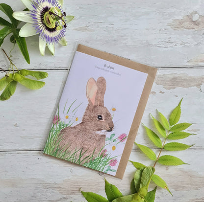 Rabbit - Greetings Card - At the Cherry Tree