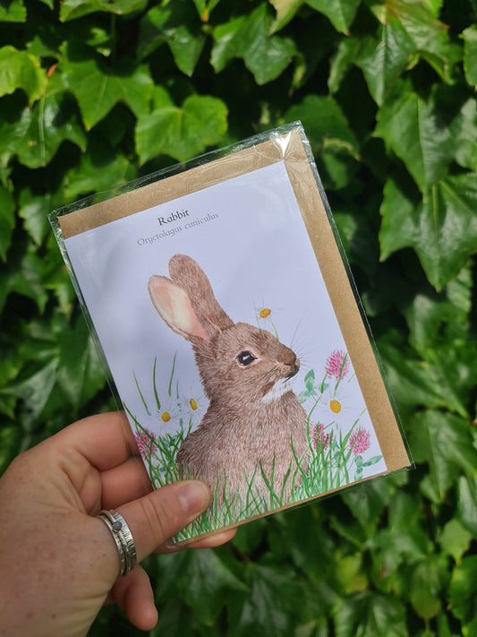 Rabbit - Greetings Card - At the Cherry Tree