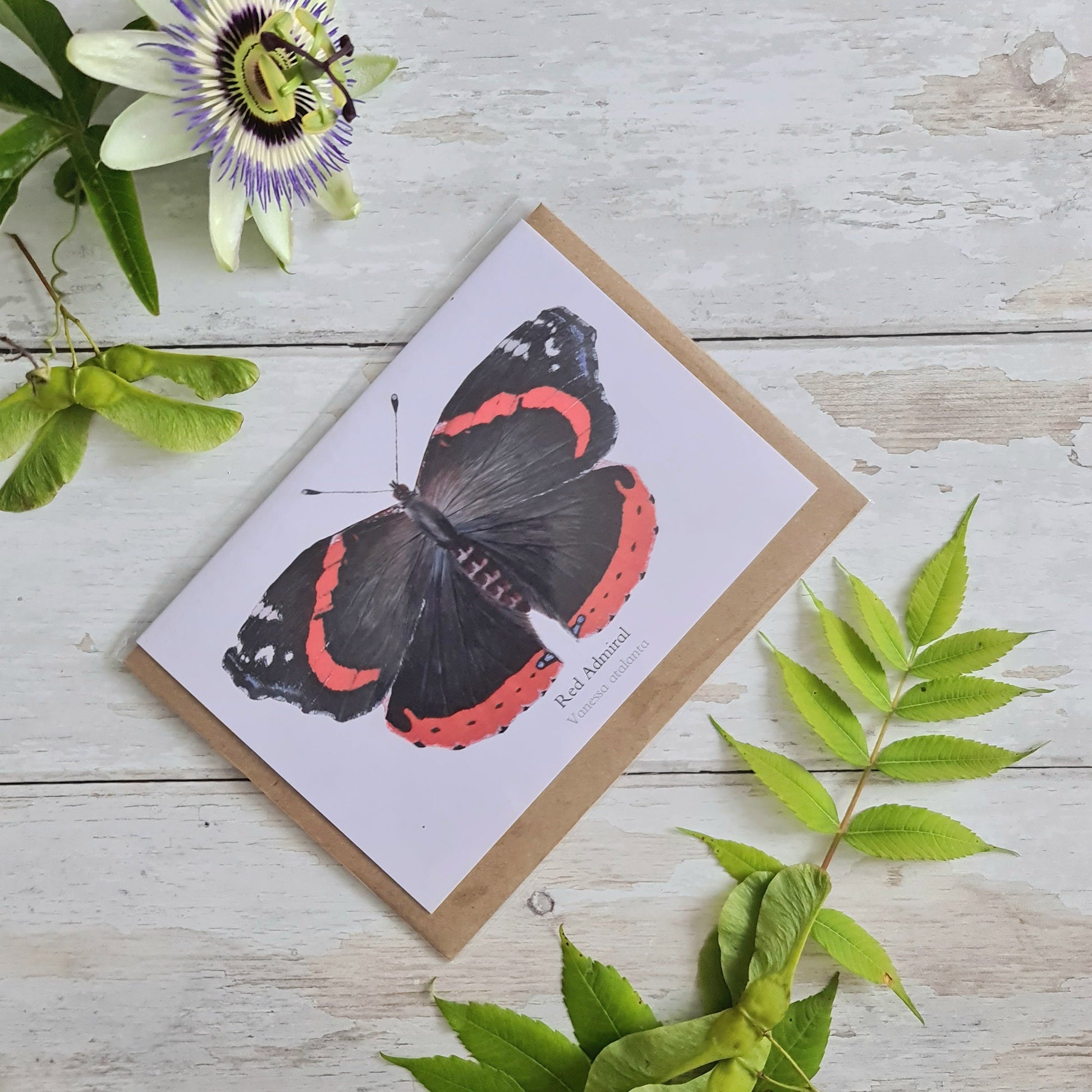 Red Admiral Butterfly - Greetings Card - At the Cherry Tree