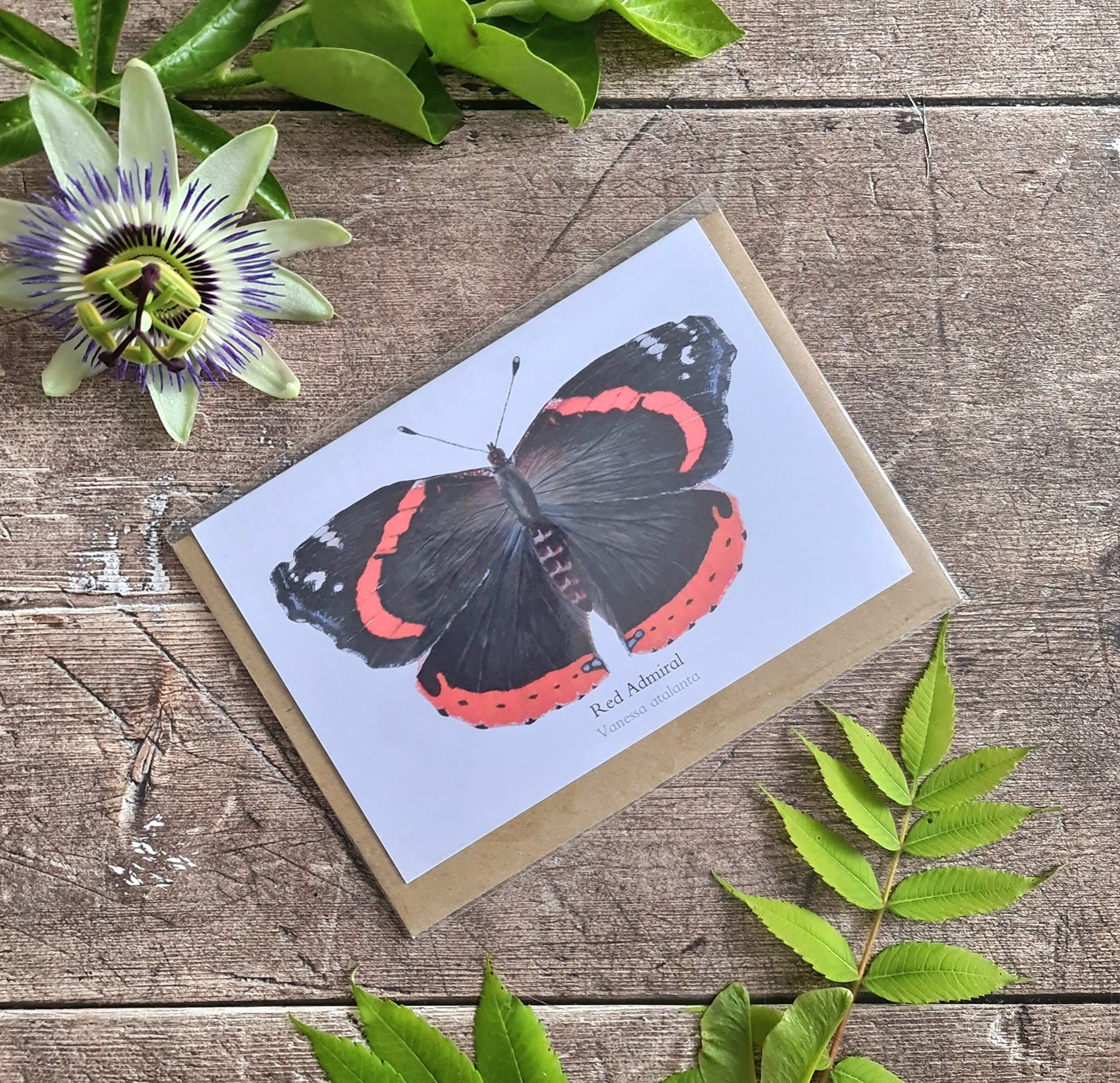 Red Admiral Butterfly - Greetings Card - At the Cherry Tree
