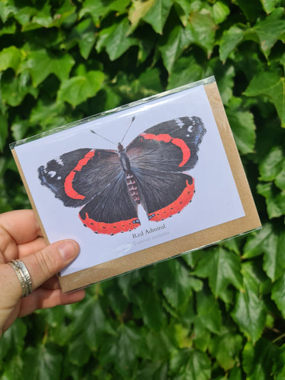 Red Admiral Butterfly - Greetings Card - At the Cherry Tree