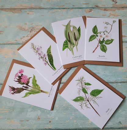 Red Campion - Greetings Card - At the Cherry Tree