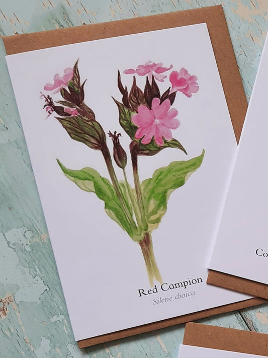 Red Campion - Greetings Card - At the Cherry Tree