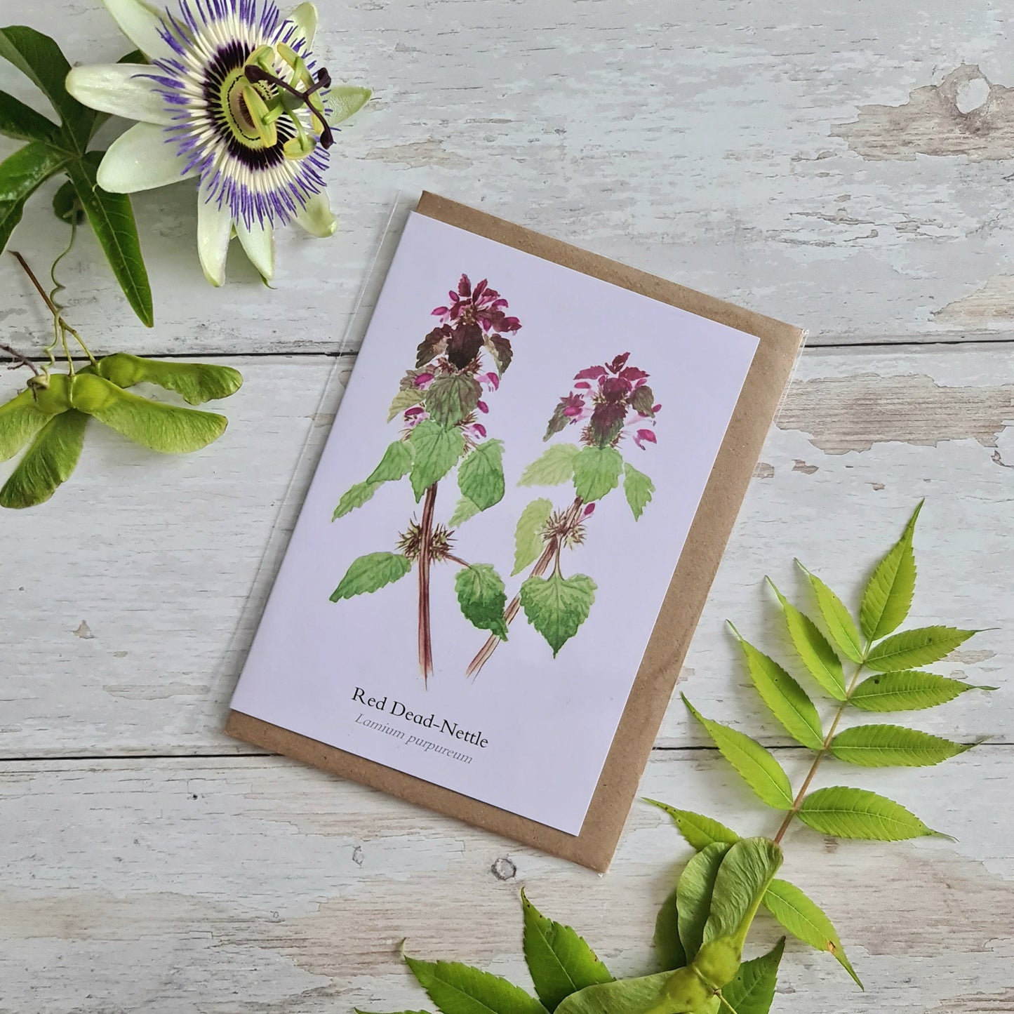 Red Dead - Nettle - Greetings Card - At the Cherry Tree