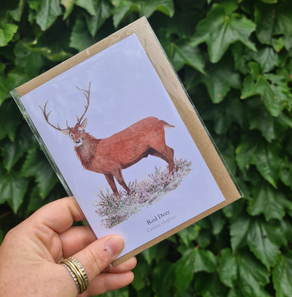 Red Deer - Greetings Card - At the Cherry Tree