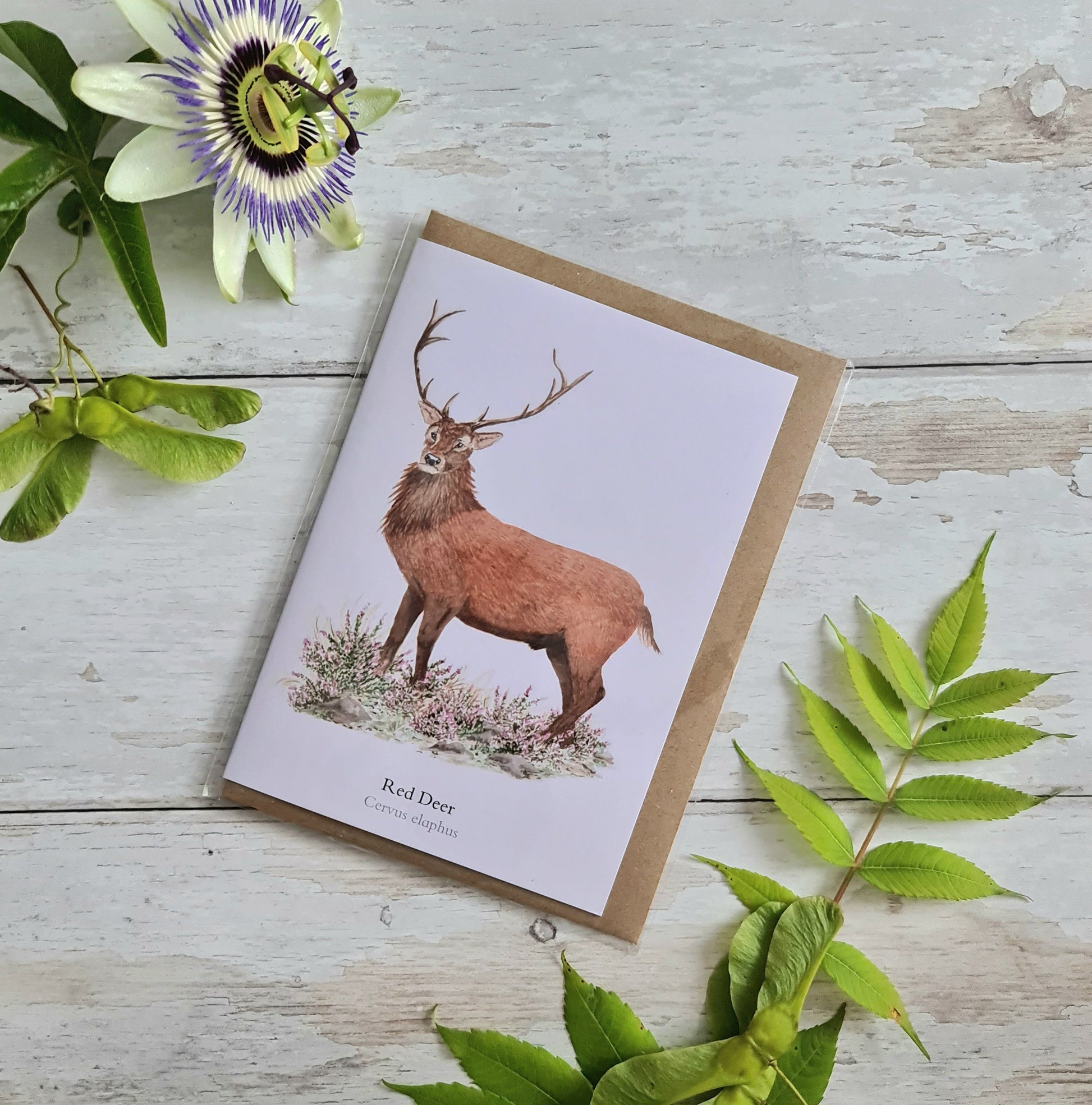 Red Deer - Greetings Card - At the Cherry Tree