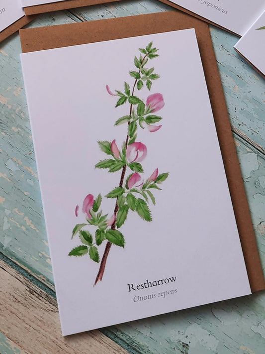 Restharrow - Greetings Card - At the Cherry Tree