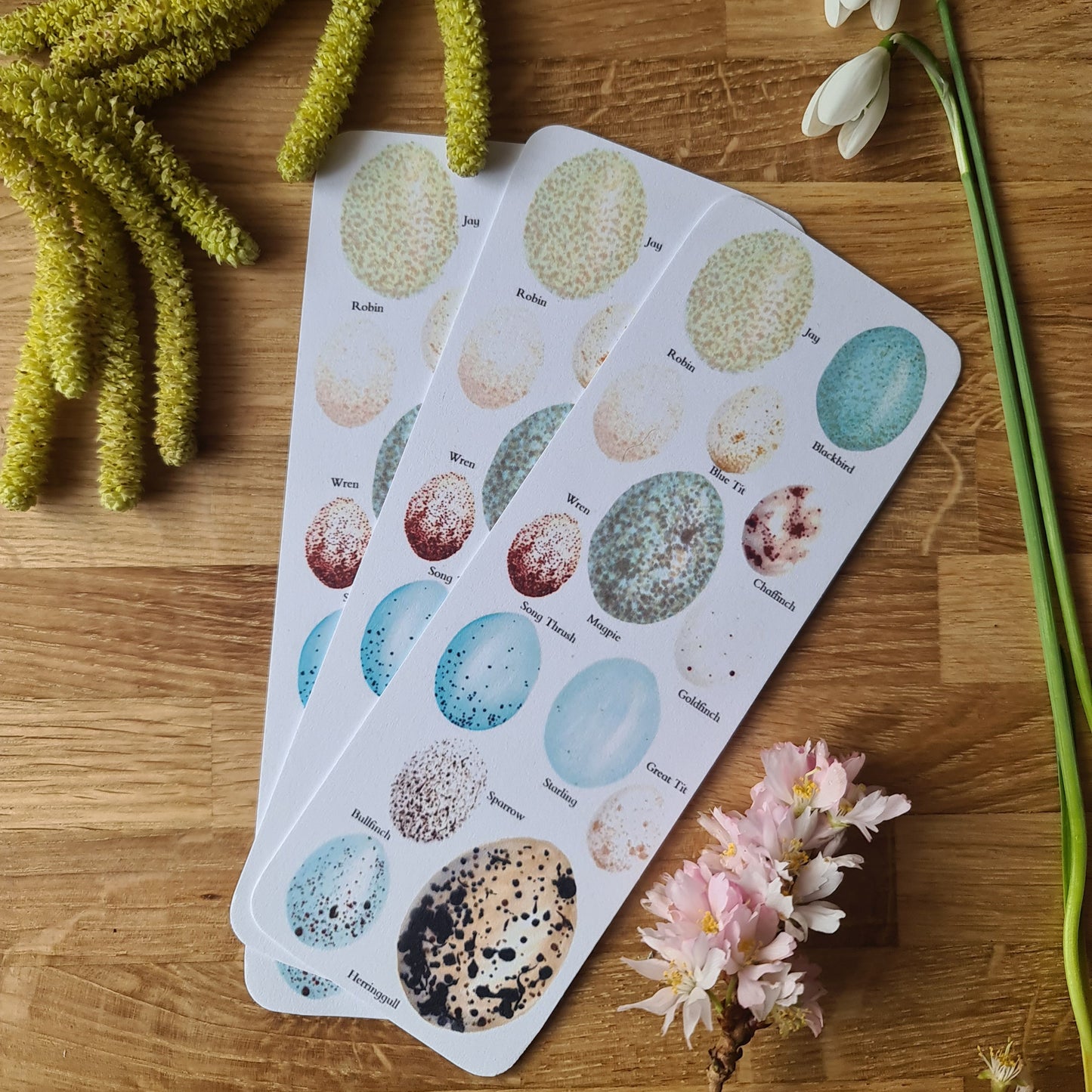 Birds Egg Identification Bookmark
