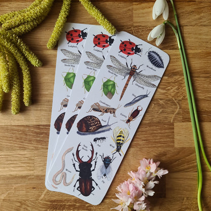 Garden Minibeast Identification Bookmark