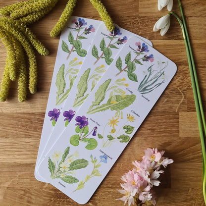 Spring Flower Identification Bookmark