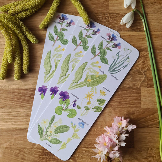 Spring Flower Identification Bookmark