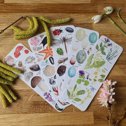 Spring Flower Identification Bookmark
